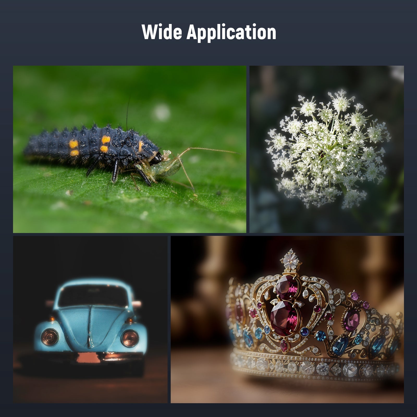 Wide Applications of the NEEWER LS-73 75mm Macro Phone Lens