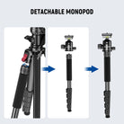 Easily detach one leg to convert the tripod into a monopod